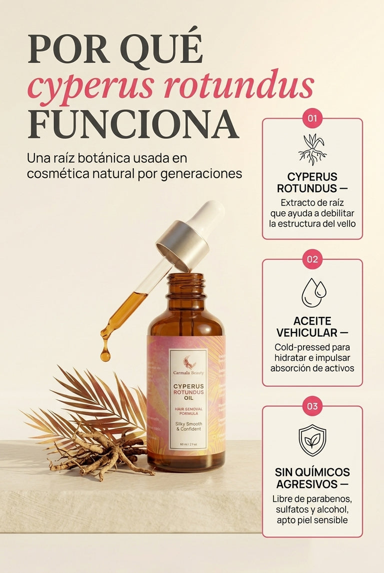 Por qué Cyperus Rotundus funciona — extracto botánico autoridad
